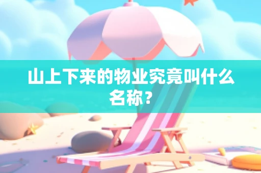 山上下来的物业究竟叫什么名称？