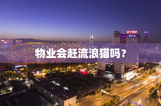 物业会赶流浪猫吗？