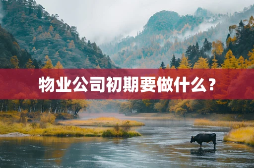 物业公司初期要做什么？