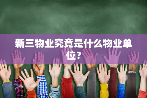 新三物业究竟是什么物业单位？
