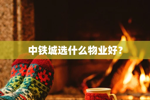 中铁城选什么物业好？
