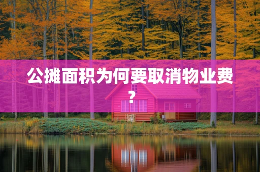 公摊面积为何要取消物业费？