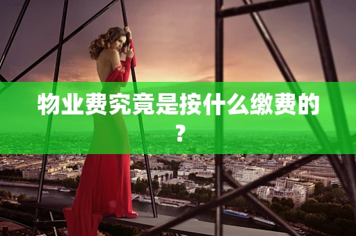 物业费究竟是按什么缴费的？
