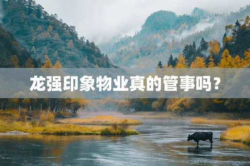 龙强印象物业真的管事吗？