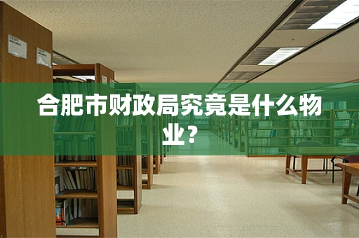 合肥市财政局究竟是什么物业？