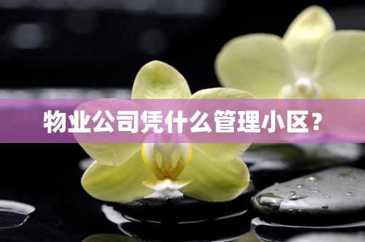物业公司凭什么管理小区？