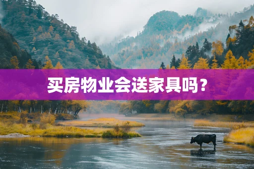 买房物业会送家具吗？