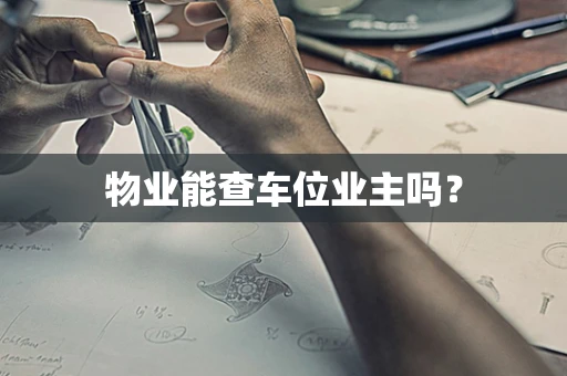 物业能查车位业主吗？