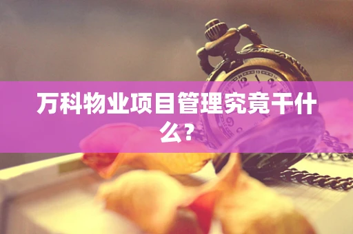 万科物业项目管理究竟干什么？