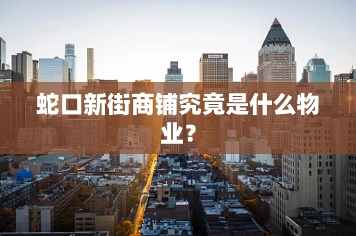 蛇口新街商铺究竟是什么物业？