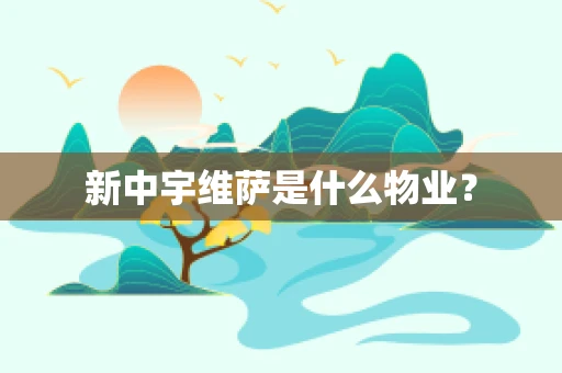 新中宇维萨是什么物业？