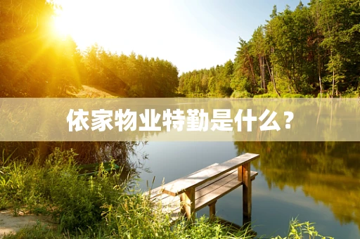 依家物业特勤是什么？