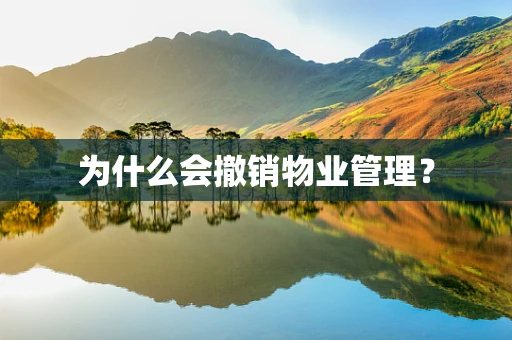 为什么会撤销物业管理？