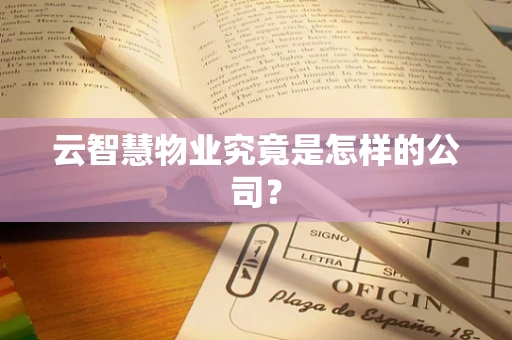 云智慧物业究竟是怎样的公司？