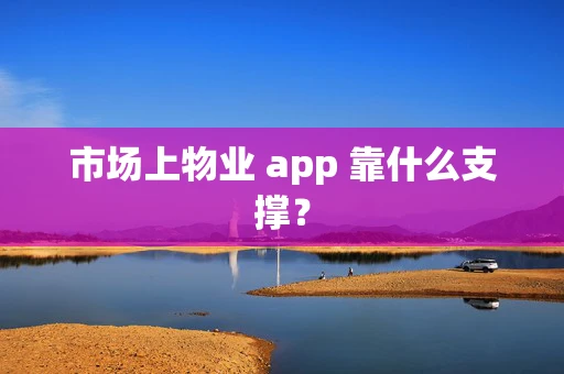市场上物业 app 靠什么支撑？