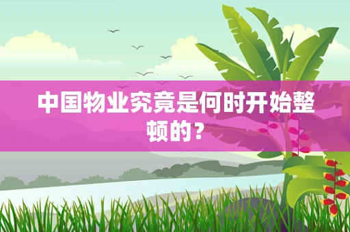 中国物业究竟是何时开始整顿的？