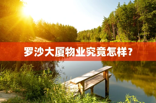 罗沙大厦物业究竟怎样？