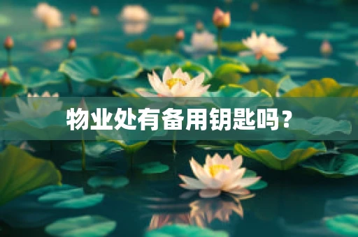 物业处有备用钥匙吗？