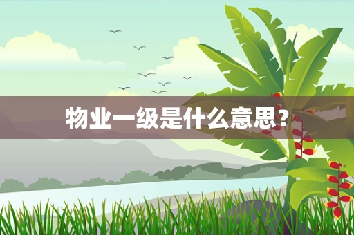 物业一级是什么意思？