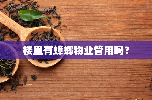 楼里有蟑螂物业管用吗？