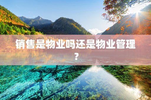 销售是物业吗还是物业管理？