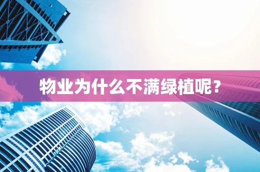 物业为什么不满绿植呢？