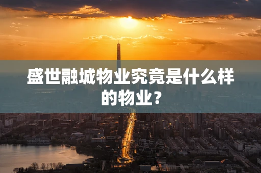 盛世融城物业究竟是什么样的物业？