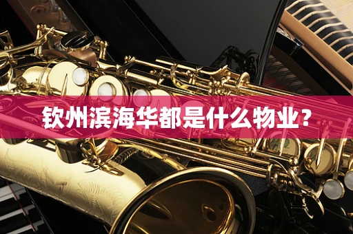 钦州滨海华都是什么物业？