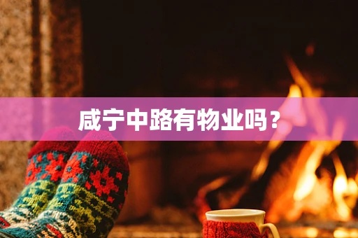 咸宁中路有物业吗？