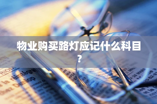 物业购买路灯应记什么科目？