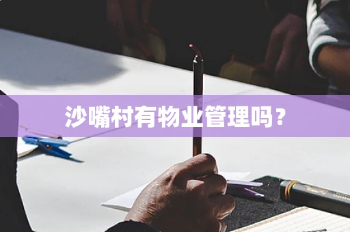 沙嘴村有物业管理吗？