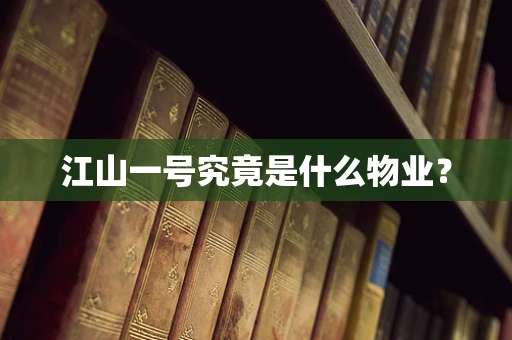 江山一号究竟是什么物业？