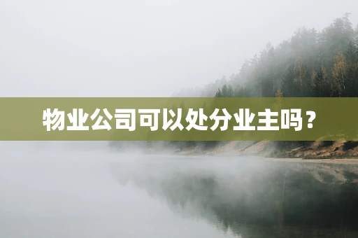 物业公司可以处分业主吗？