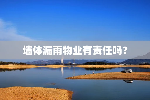 墙体漏雨物业有责任吗？
