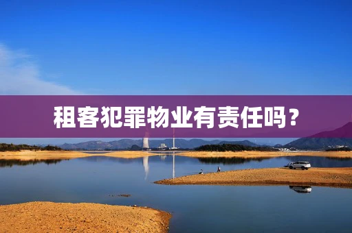 租客犯罪物业有责任吗？