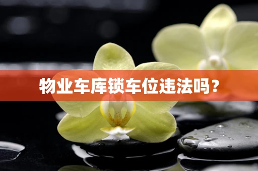 物业车库锁车位违法吗？