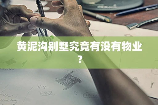 黄泥沟别墅究竟有没有物业？