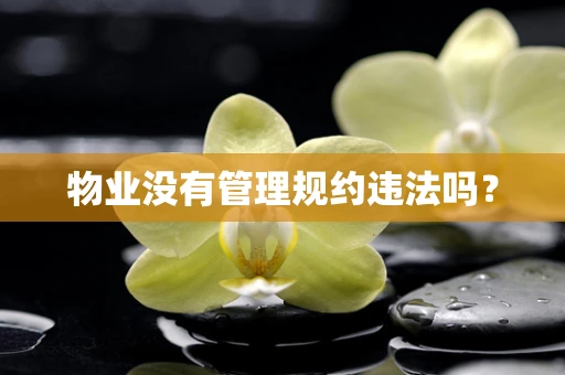 物业没有管理规约违法吗？