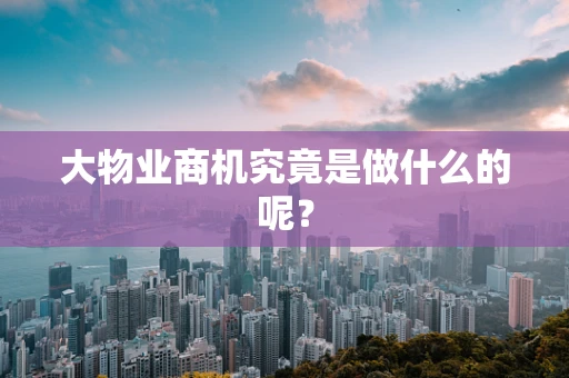 大物业商机究竟是做什么的呢？