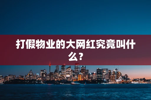 打假物业的大网红究竟叫什么？