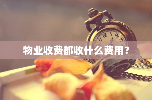 物业收费都收什么费用？