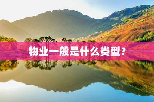 物业一般是什么类型？