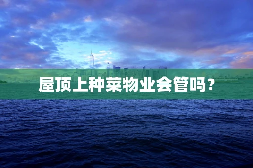 屋顶上种菜物业会管吗？