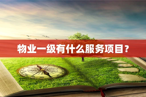 物业一级有什么服务项目？