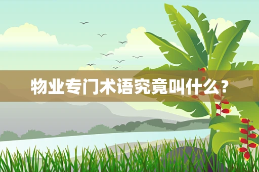 物业专门术语究竟叫什么？