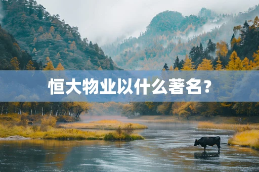 恒大物业以什么著名？