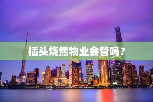 插头烧焦物业会管吗？