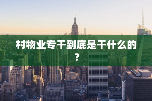 村物业专干到底是干什么的？