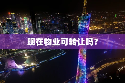 现在物业可转让吗？
