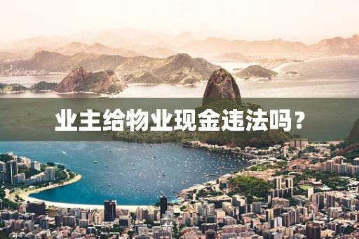 业主给物业现金违法吗？